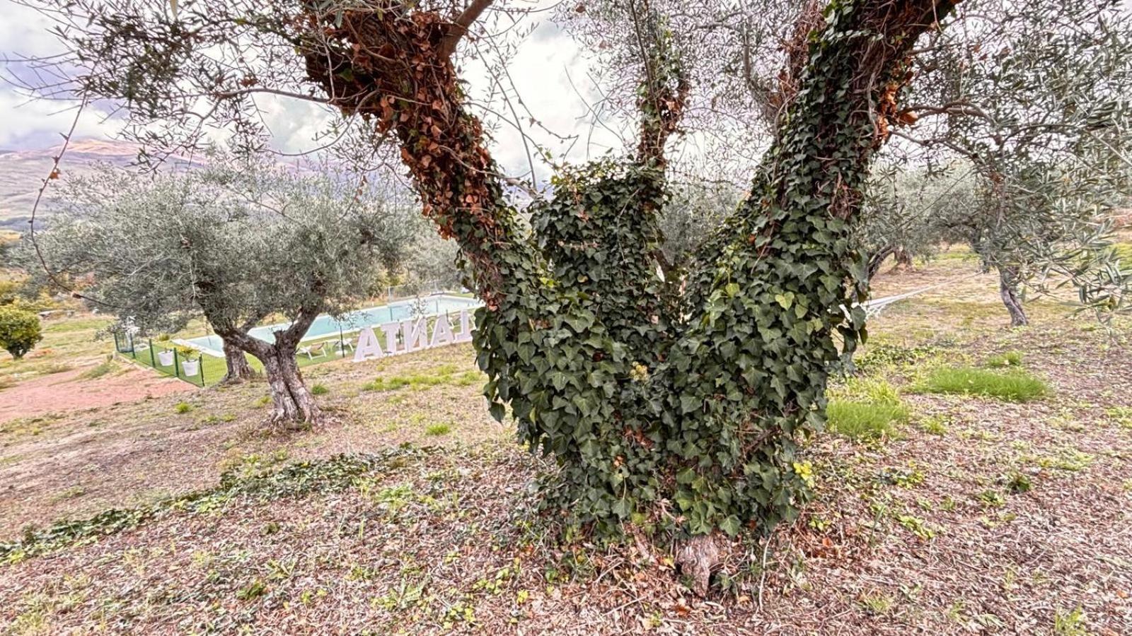 Casa Rural Atalanta De La Vera Jaraiz de la Vera Extérieur photo